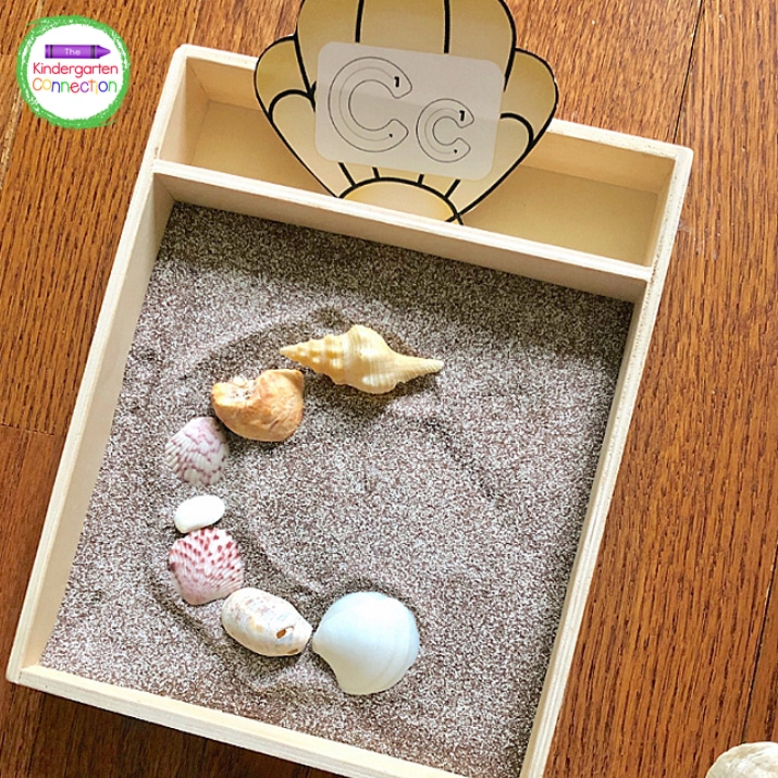 Then, the kids can use small seashells to trace the letter drawn in the sand.