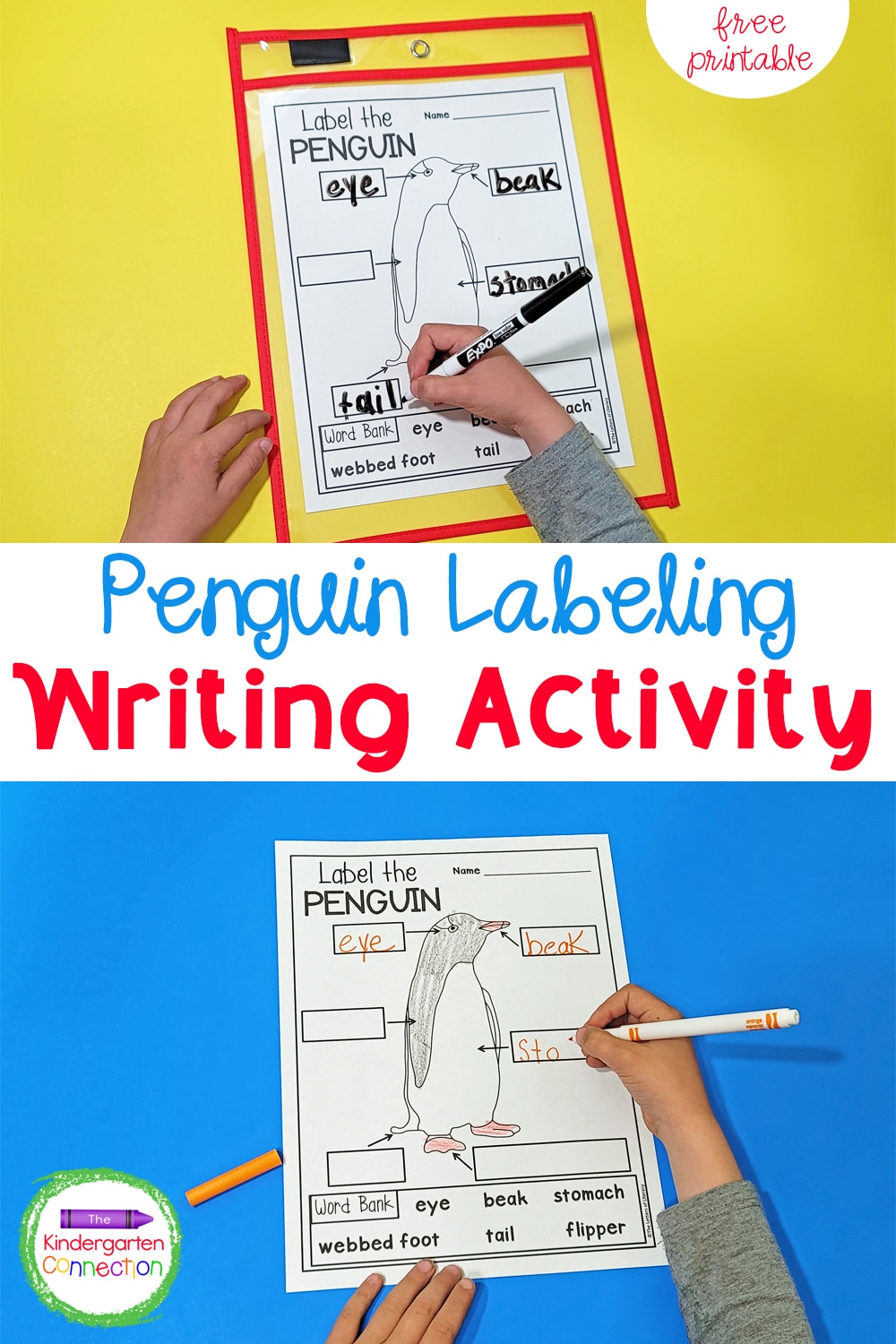 Learning about penguins? This free Parts of a Penguin Labeling Printable is a great activity to add to your penguin unit!