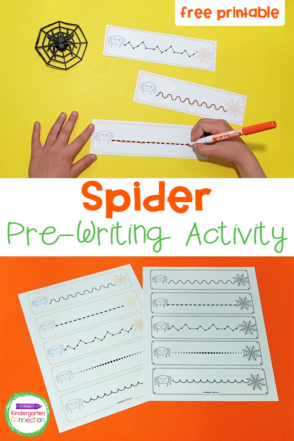 These free Spider Pre-Writing Practice Printables will be great to have on hand to build up pre-writing skills and fine motor muscles!