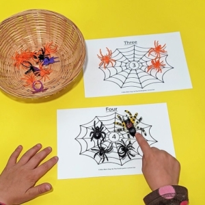 Spider Web Counting Game