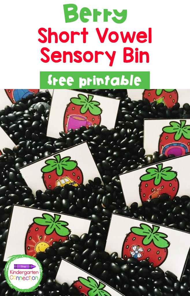 Berry Short Vowel Sensory Bin Activity