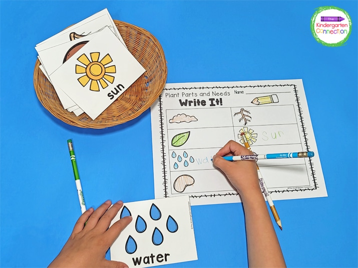 We also added this plant-themed "Write It!" activity to our writing center.
