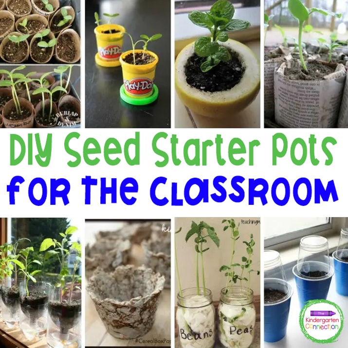 Turn your seed sprouting project into a science experiment and test these DIY seed starter pots to see which ones produce the healthiest plant!