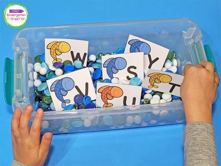 I filled a sensory bin with glass gems and added the fish letter cards for students to pick from.