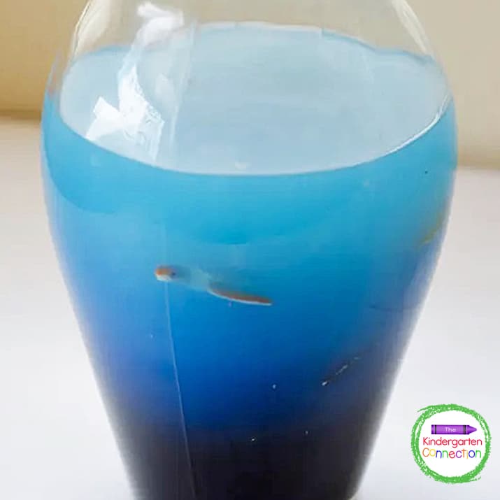 We made layers of “ocean water” in this vase.