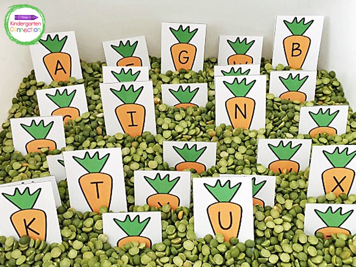 For the alphabet sensory bin, add dried split peas and the carrot cards to a plastic container.