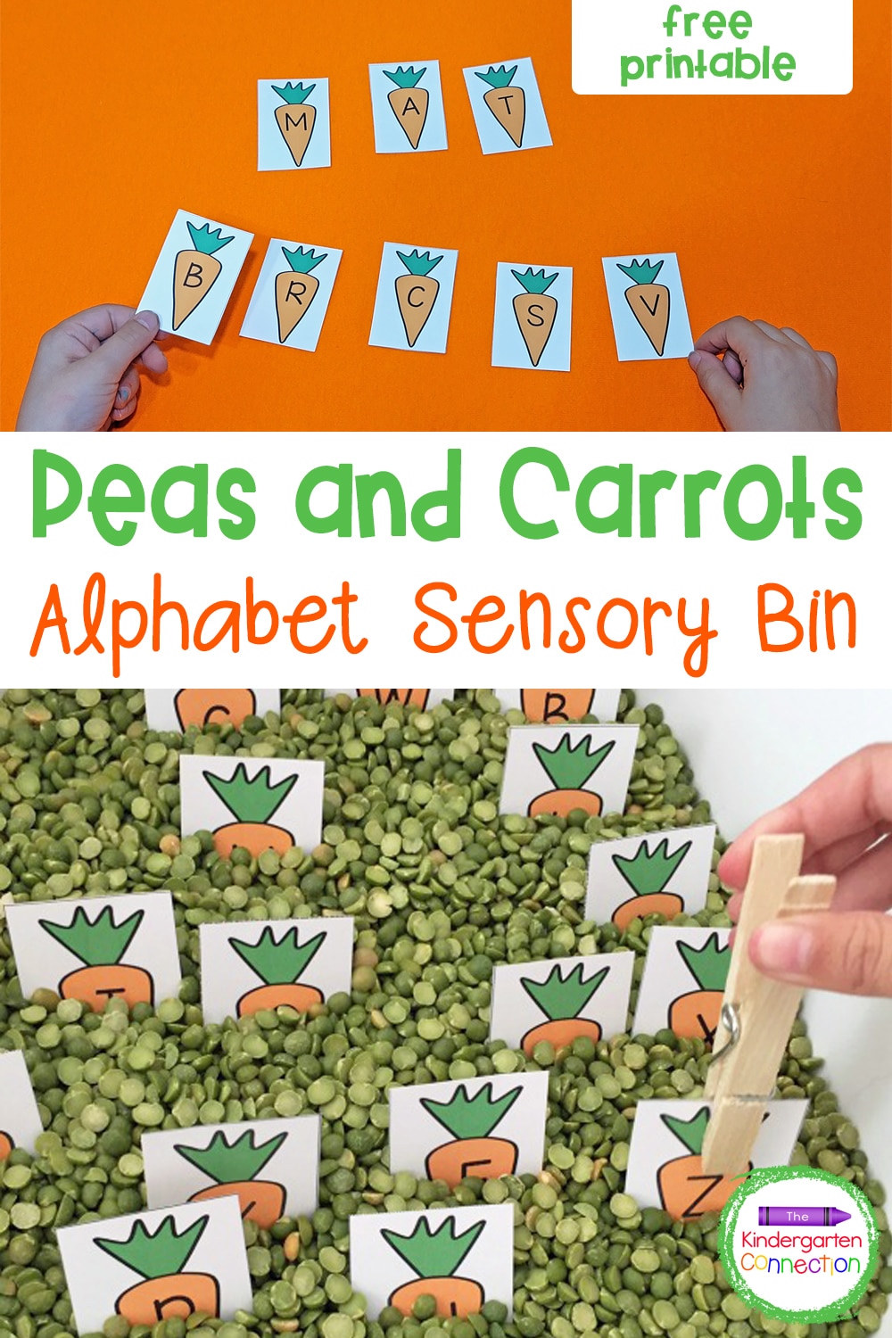 Peas and Carrots Alphabet Sensory Bin
