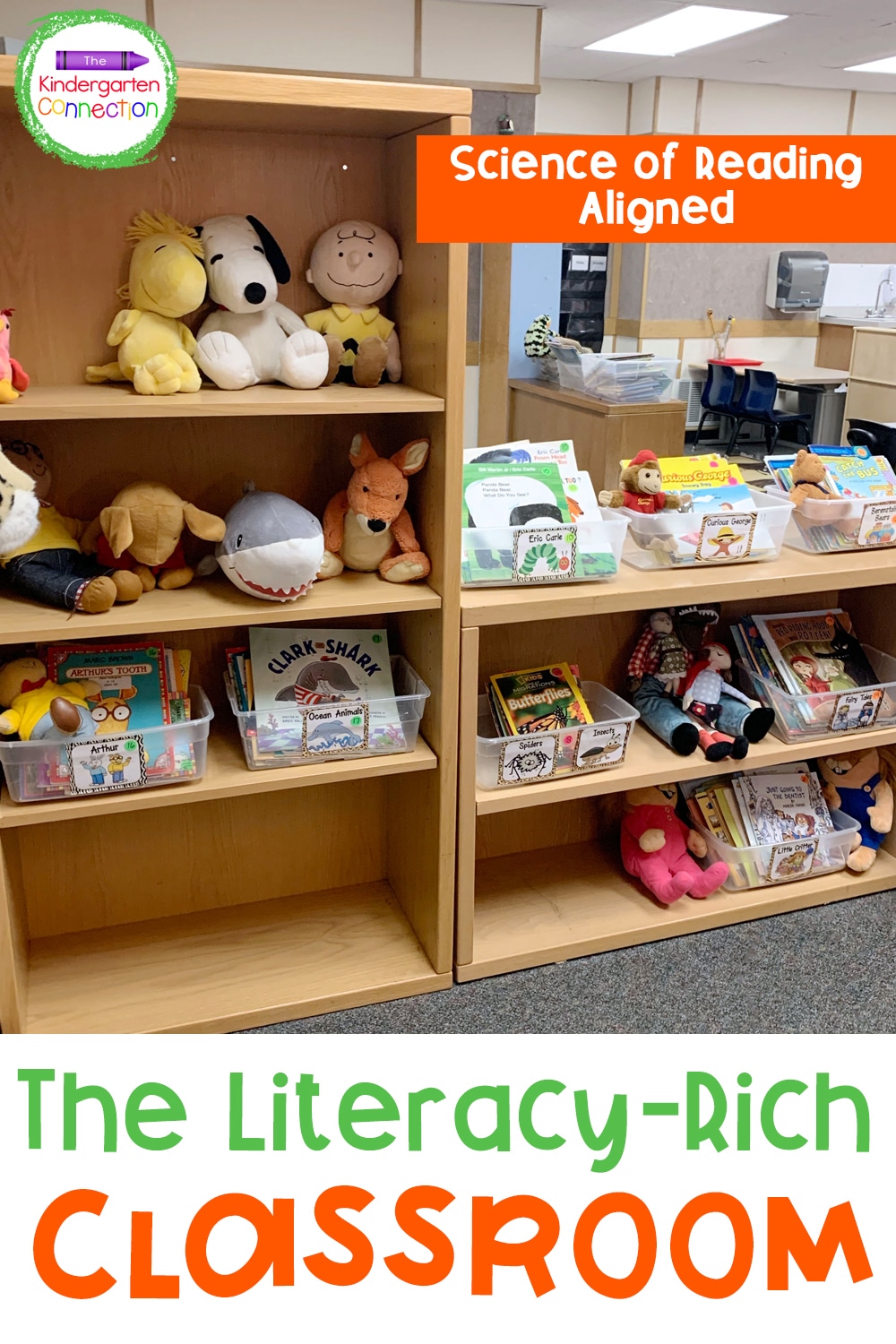 The Literacy-Rich Classroom