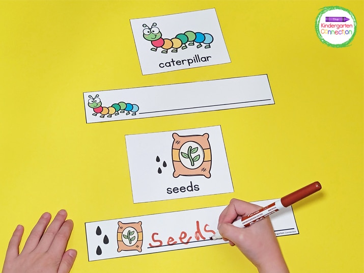 Print the vocabulary strips, laminate them, and then add them to your centers with dry erase markers.