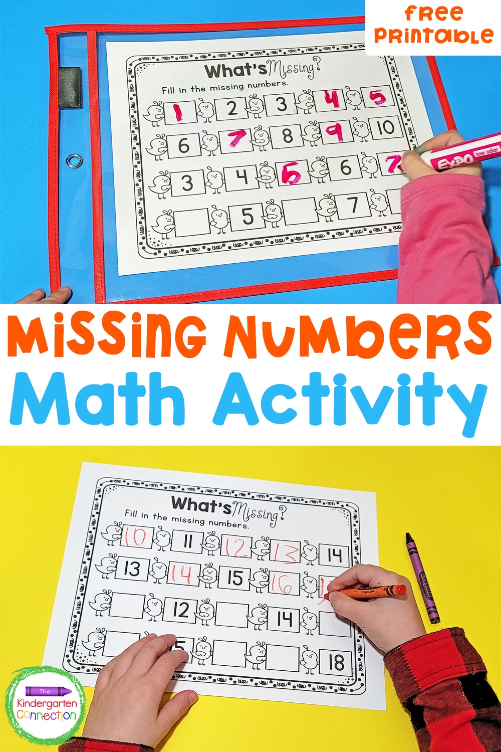 Printable Missing Numbers Activity