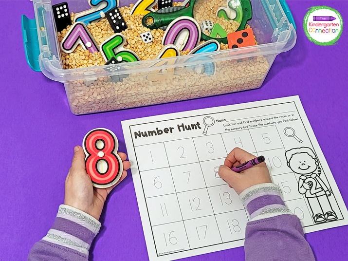 Hide number manipulatives in a sensory bin and students can find and trace the number on the recording sheet.