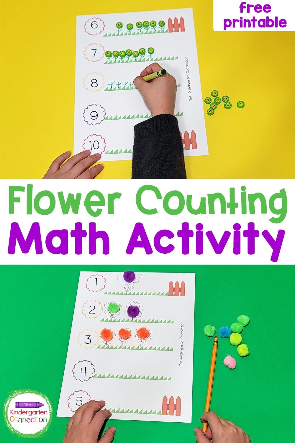Flower Counting Activity