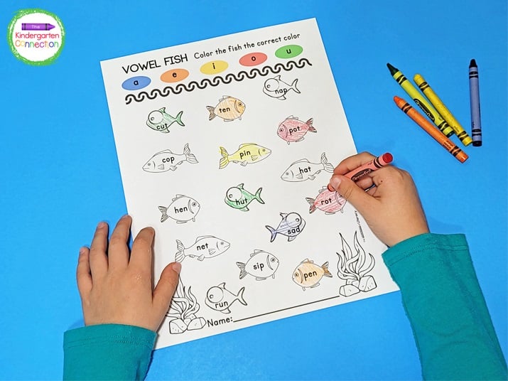 Students will color the fish using the vowel color code at the top of the page.
