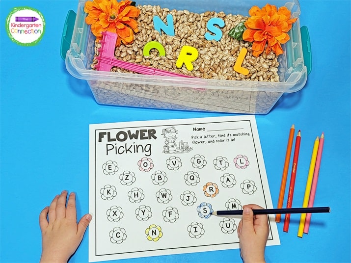 We used uppercase letter manipulatives and paired them with the uppercase Flower Picking recording sheet.