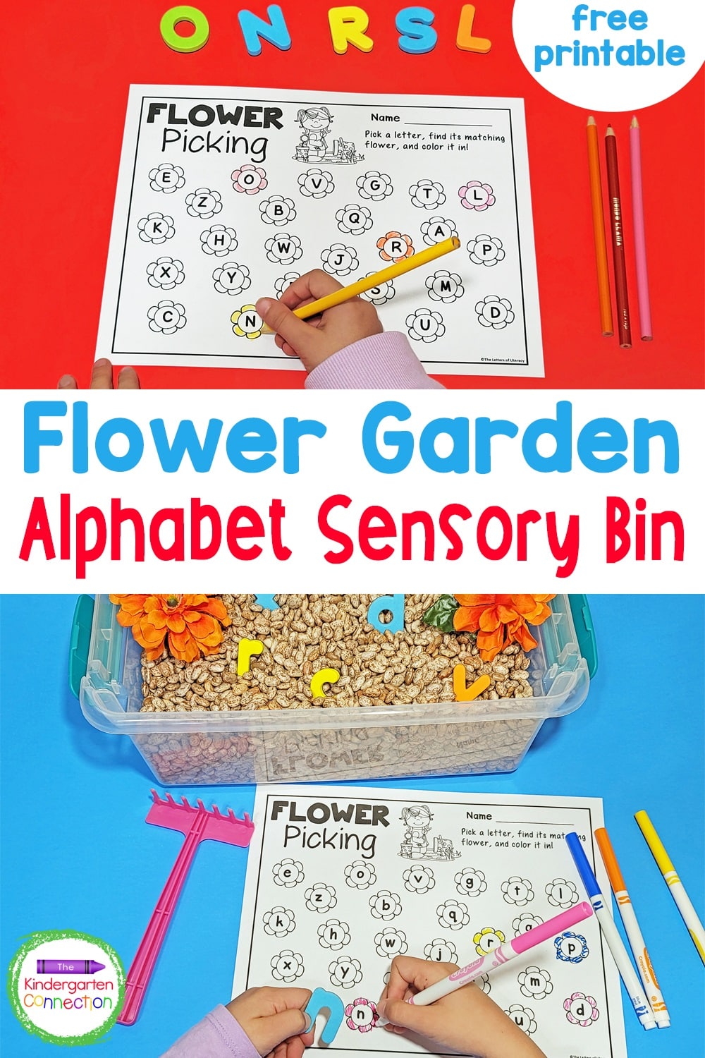 Practice the alphabet in a hands-on way in Pre-K and Kindergarten with this fun and free Alphabet Flower Garden Sensory Bin!