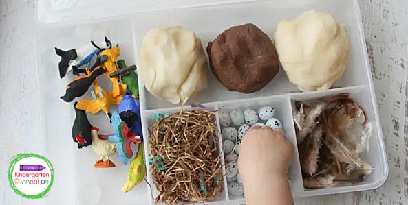 This bird themed play dough kit is perfect for spring, fall, or anytime! This sensory filled fun is great for hands on learning and play. 
