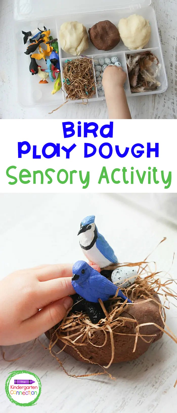 This bird themed play dough kit is perfect for spring, fall, or anytime! This sensory filled fun is great for hands on learning and play. 