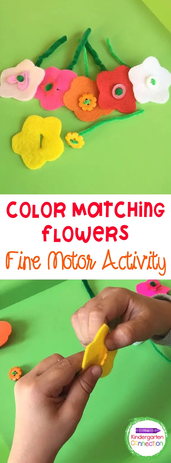 Fine motor skills are important to develop in early childhood. Work on strengthening those fine motor muscles with this fun color matching activity!