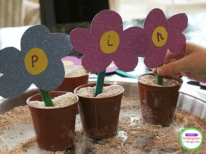 Sounding out each of the letters and blending them together to make new words is challenging for young children. Create this invitation to plant CVC words!