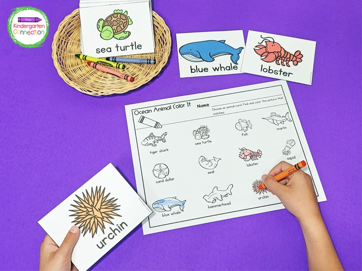Kids will have fun picking an animal card and coloring the matching picture on the Ocean Animal Color It printable.