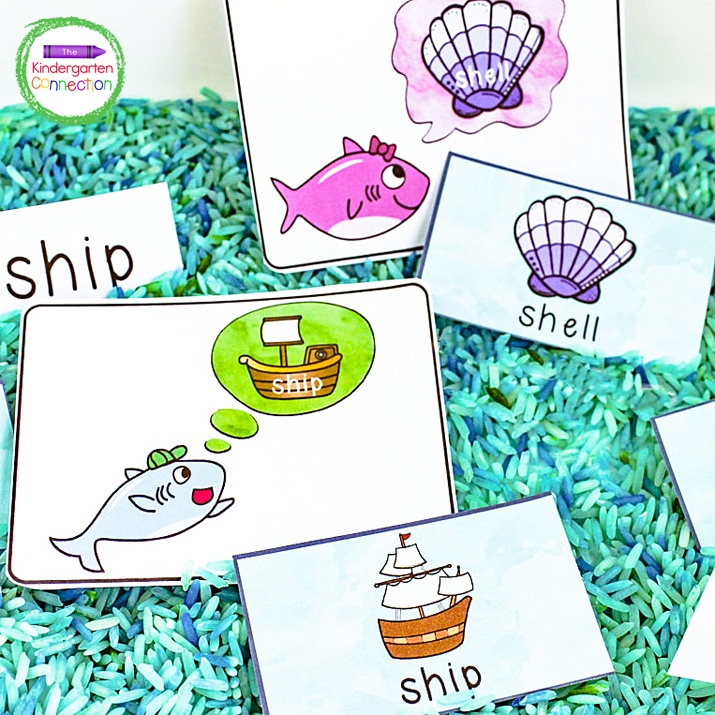 Get our FREE Printable Digraph Activity for a fun Shark Family SH Hunt! This literacy center is perfect for Kindergarten and for use with an ocean theme!