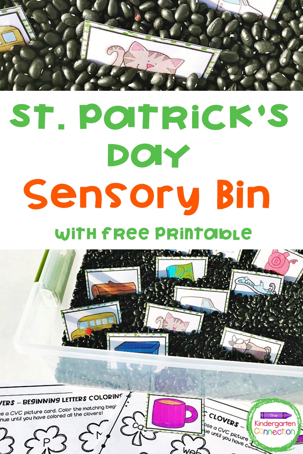 This St. Patrick's Day Sensory Bin is so much fun for March! Grab the FREE CVC printables to make it a perfect hands-on literacy center for Kindergarten or 1st grade! 