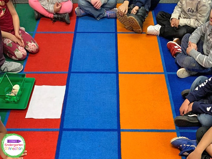 While we play, students sit in a circle on the carpet.