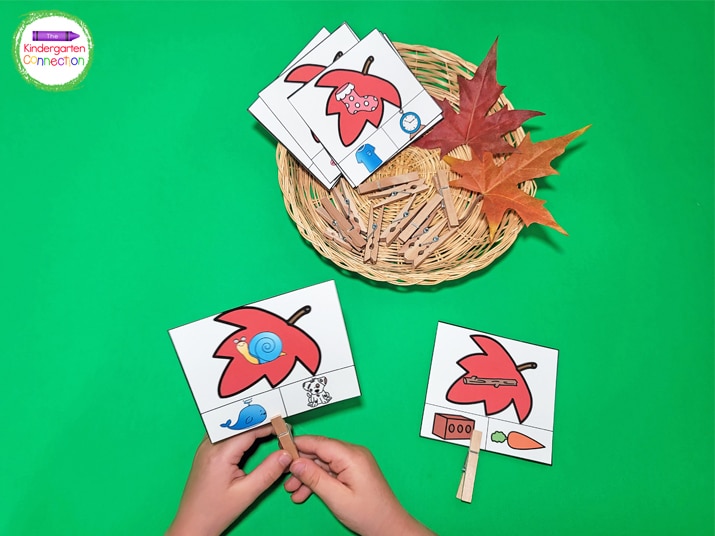 Students clip the picture at the bottom of the card that rhymes with the picture on the leaf.