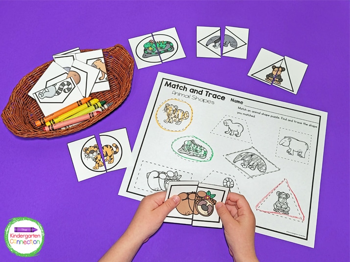 Build shape recognition skills with the Match and Trace Animal Shapes activity.