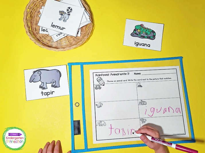 Kids will have fun picking an animal card and writing the matching animal name on the recording sheet.