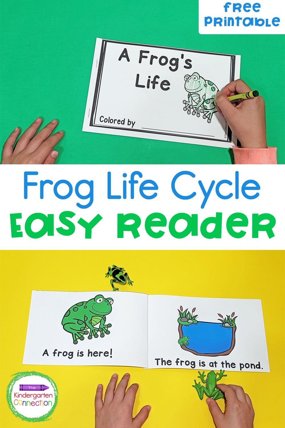 Frog Life Cycle Printable Emergent Reader