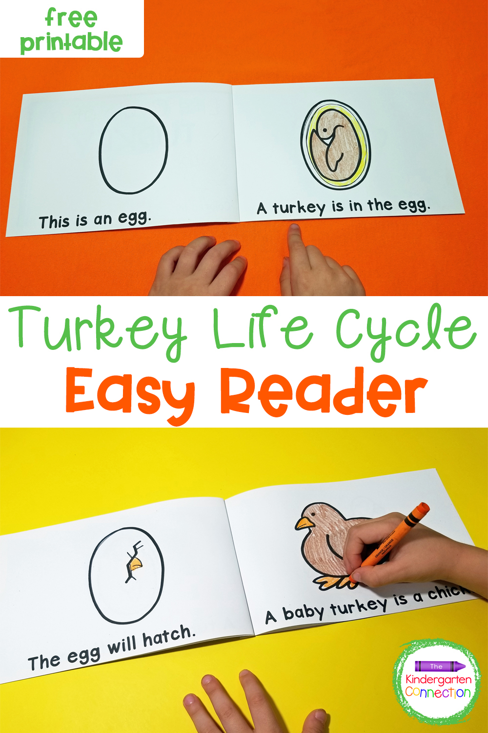 Life Cycle of a Turkey Emergent Reader