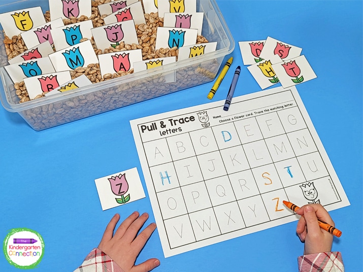 Students can work on recognizing and tracing lowercase letters.